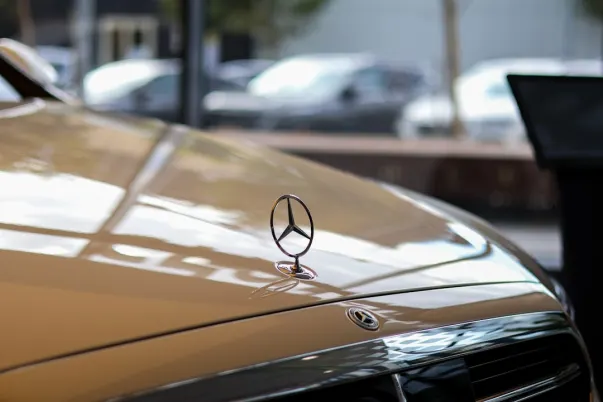 BetCave Casino Android/iOS Forrit